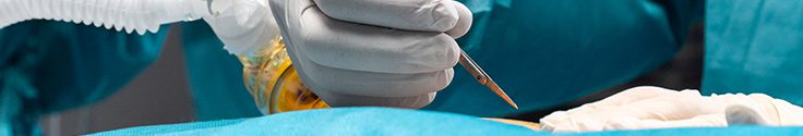 BASIC SURGICAL EQUIPMENT Market Share Leaders in Latin America